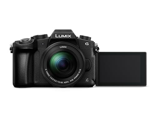 Panasonic LUMIX DMC-G80MEB-K Professional Camera with 12-60 mm Lens - Black