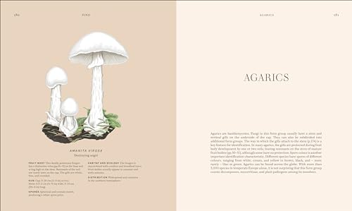 Fungi: Discover the Science and Secrets Behind the World of Mushrooms