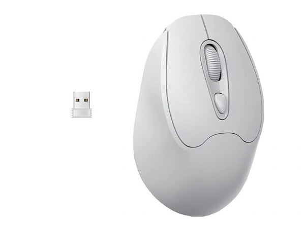 IRNAZCO Wireless Mouse,Cordless Mouse Silent USB 2.4G, Mouse for Laptop Computer PC Mac Chrome book (GREY)
