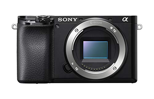 Sony Alpha 6100 | APS-C Mirrorless Camera with Sony 16-50 mm and Sony 55-210mm Zoom Lenses ( Fast 0.02s Autofocus, Eye Tracking Autofocus for Human and Animal, 4K Movie Recording and Flip Screen )