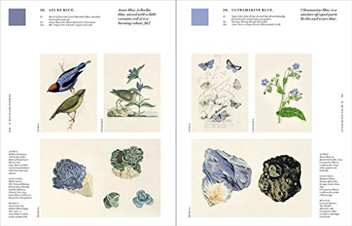 Nature's Palette: A colour reference system from the natural world