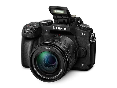 Panasonic LUMIX DMC-G80MEB-K Professional Camera with 12-60 mm Lens - Black