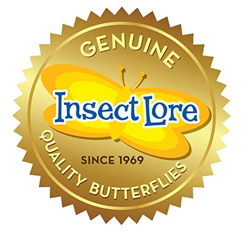 Insect Lore Butterfly Garden (Packaging May Vary)