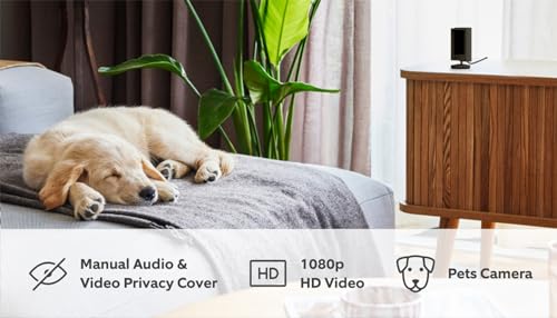 Certified Refurbished Ring Indoor Camera (2nd Gen) by Amazon|Plug-In Pet Security Camera|1080p HD, Two-Way Talk, Wifi, Privacy Cover, DIY| alternative to CCTV system| 30-day free trial of Ring Protect