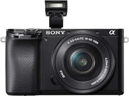 Sony Alpha 6100 | APS-C Mirrorless Camera with Sony 16-50 mm f/3.5-5.6 Power Zoom Lens ( Fast 0.02s Autofocus, Eye Tracking Autofocus for Human and Animal, 4K Movie Recording and Flip Screen )