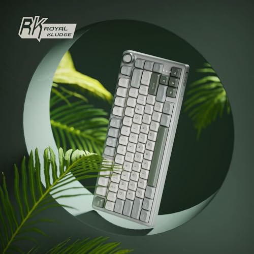 RK ROYAL KLUDGE R75 Mechanical Keyboard Wired with Volumn Knob, 75% TKL Custom Gaming Keyboard Gasket Mount RGB Backlit with Software, MDA Profile, Hot Swappable Silver Switch, PBT Keycaps (US Layout)