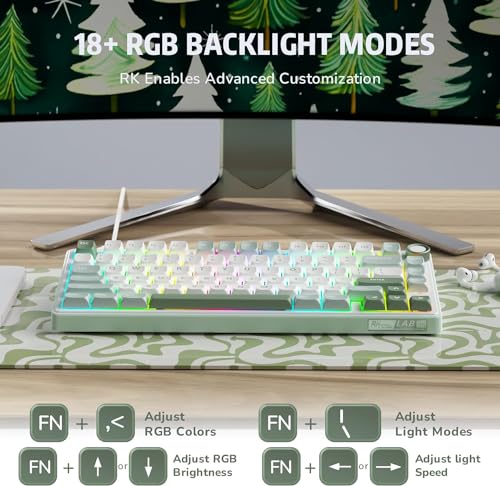 RK ROYAL KLUDGE R75 Mechanical Keyboard Wired with Volumn Knob, 75% TKL Custom Gaming Keyboard Gasket Mount RGB Backlit with Software, MDA Profile, Hot Swappable Silver Switch, PBT Keycaps (US Layout)