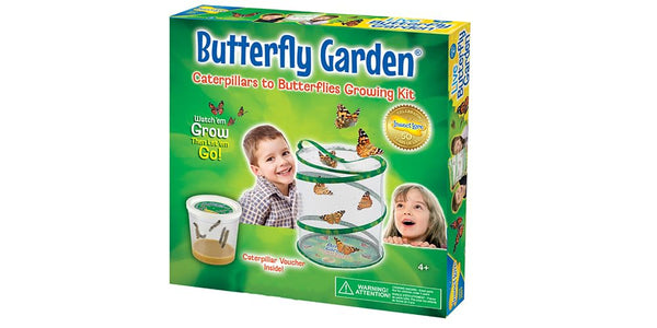 Insect Lore Butterfly Garden (Packaging May Vary)