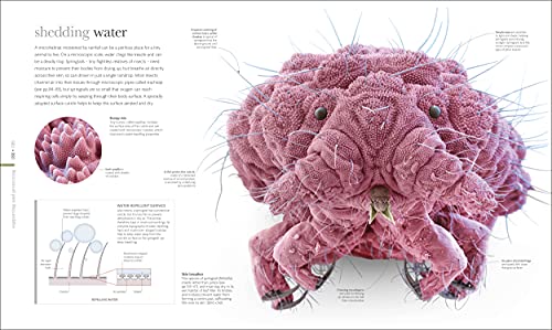 Micro Life: Miracles of the Miniature World Revealed