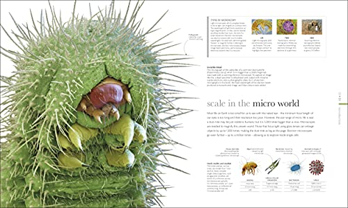 Micro Life: Miracles of the Miniature World Revealed