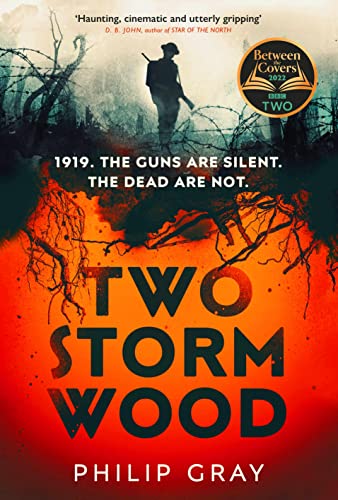 Two Storm Wood: Uncover an unsettling mystery of World War One in the The Times Thriller of the Year