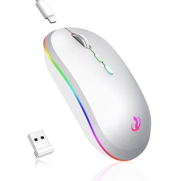 RIIKUNTEK Wireless Mouse for Laptop, 2.4G & Bluetooth Mouse Rechargeable with RGB Light, Silent Computer Mouse with Type-C Charging for PC, Laptop, iPad, Tablet, Silver