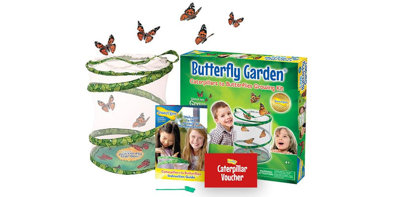 Insect Lore Butterfly Garden (Packaging May Vary)