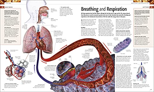 Science: The Definitive Visual Guide