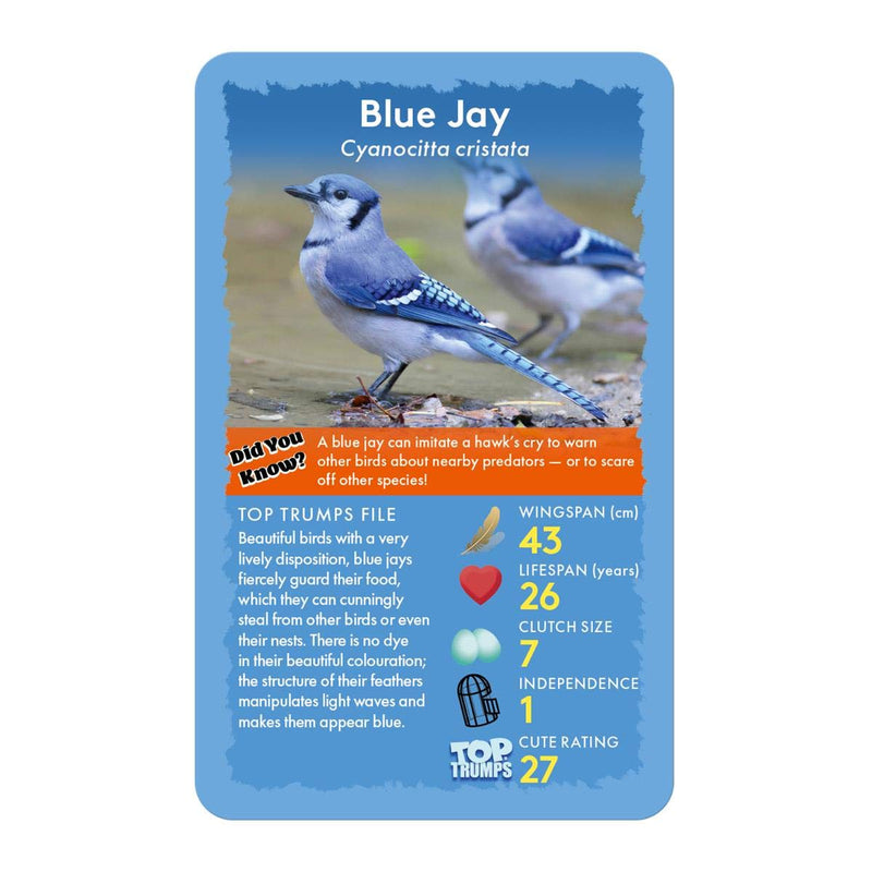 Birds Top Trumps Card Game