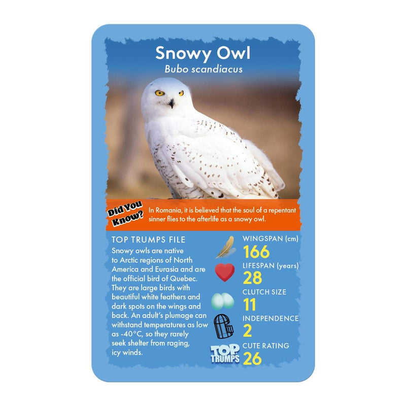 Birds Top Trumps Card Game