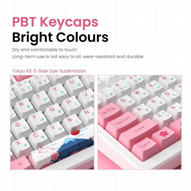 Akko MOD 007B Tokyo Mechanical Gaming Keyboard, 75% Gasket LED ANSI Layout Multi Modes Keyboard Anti-Ghosting, Hot-Swappable Programmable Media Keys, OEM Dye-Sub PBT Keycaps