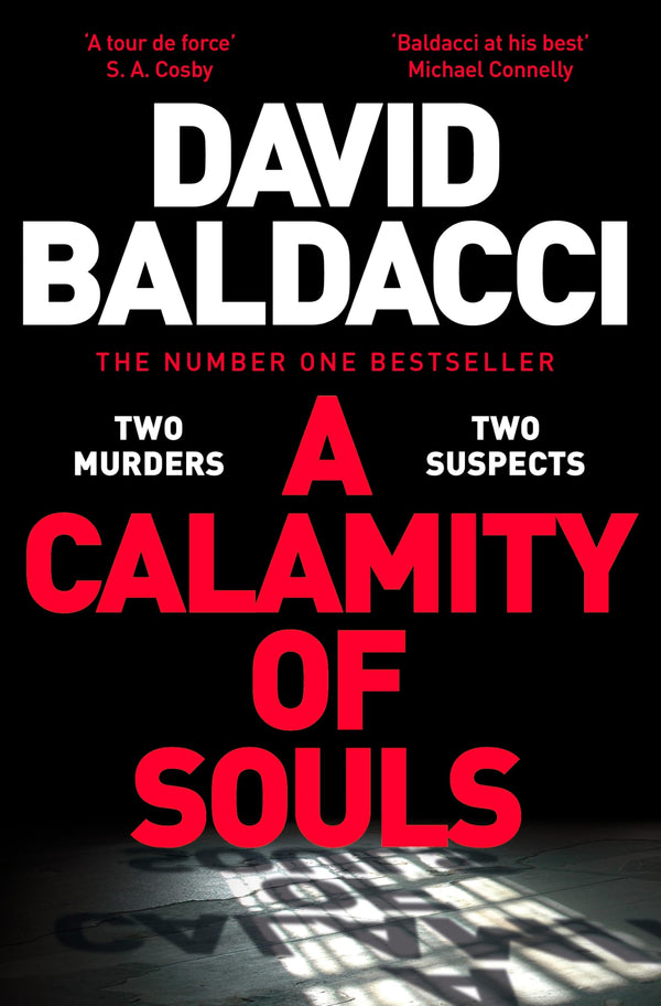 A Calamity of Souls: The brand new novel from the number one bestselling author of Simply Lies