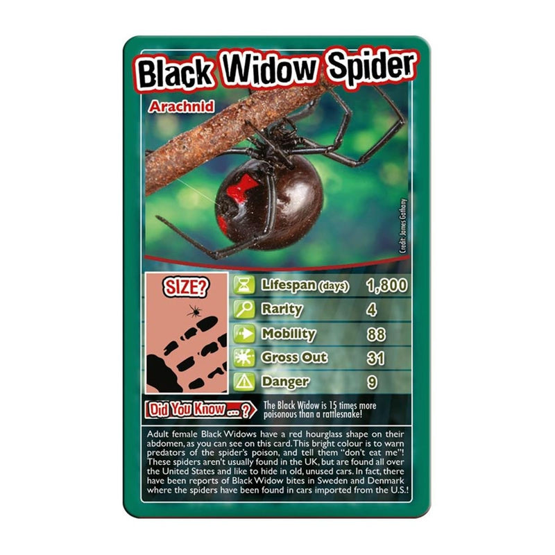 Bugs Top Trumps Card Game