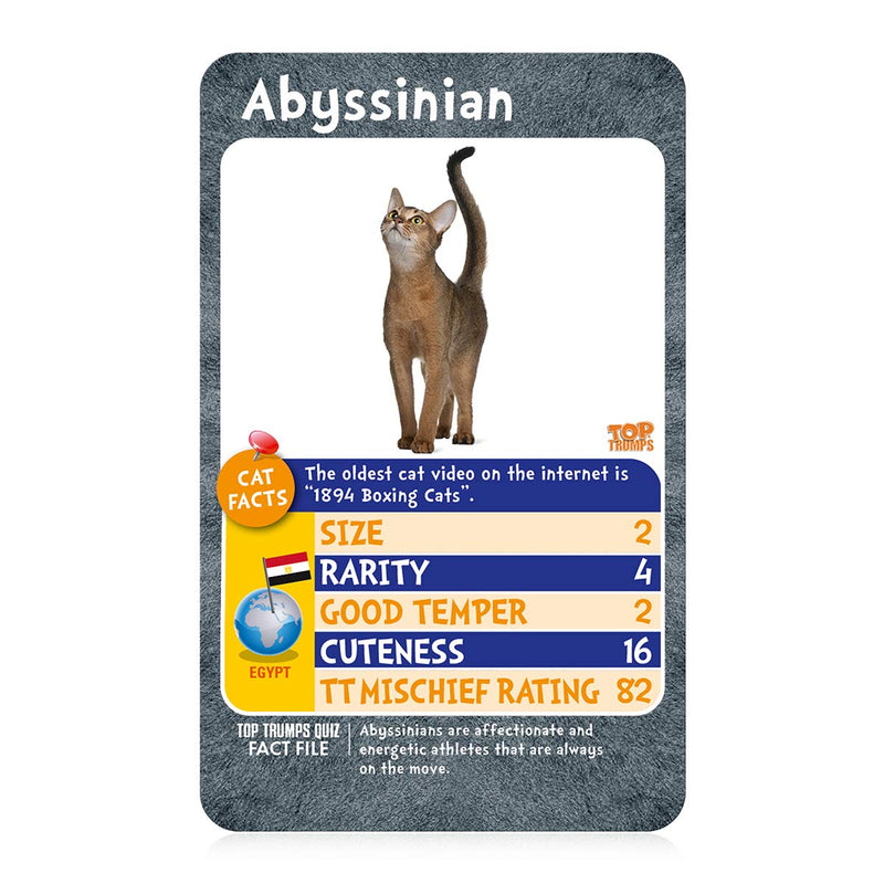 Top Trumps Cats Classics Card Game, learn facts about the Bengal cat, British Shorthair and the Siberian cat in this educational packed game, 2 plus players makes a great gift for ages 6 plus