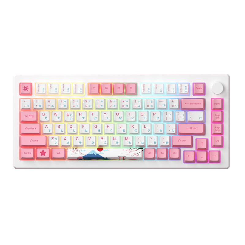 Akko MOD 007B Tokyo Mechanical Gaming Keyboard, 75% Gasket LED ANSI Layout Multi Modes Keyboard Anti-Ghosting, Hot-Swappable Programmable Media Keys, OEM Dye-Sub PBT Keycaps