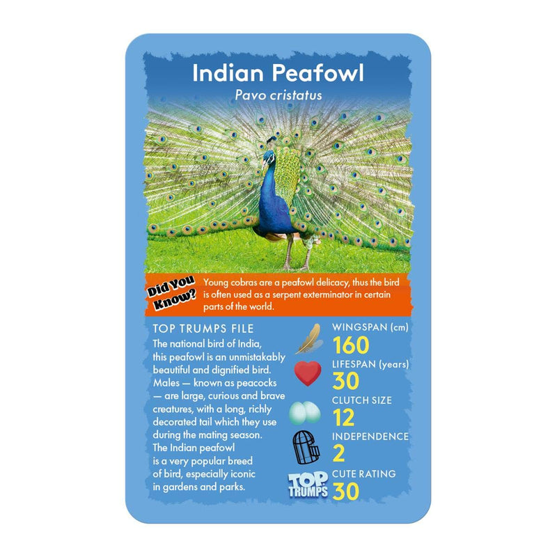 Birds Top Trumps Card Game