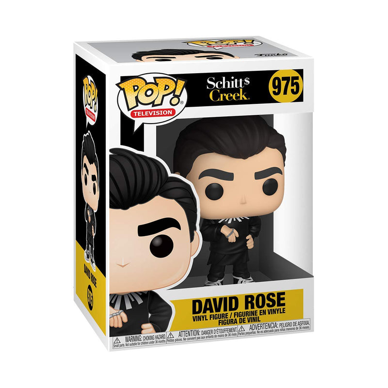 Funko POP! TV: Schitt's Creek - David Rose - 1/6 Odds for Rare Chase Variant - (Styles May Vary) - Collectable Vinyl Figure - Gift Idea - Official Merchandise - Toys for Kids & Adults - TV Fans