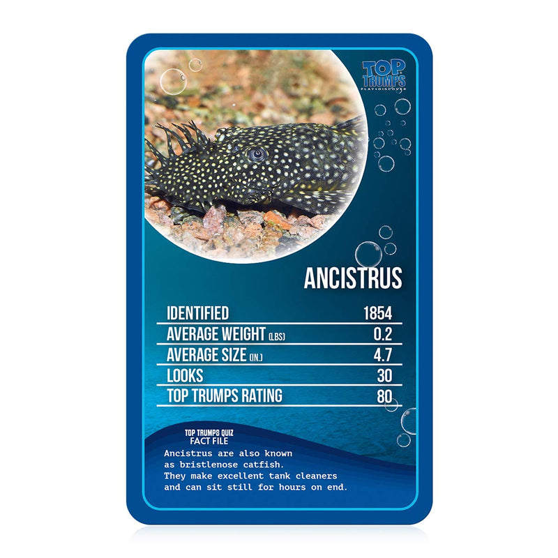 Top Trumps Freshwater Fish Classics Card Game, learn facts about the Angelfish, Ancistrus and the Bull Shark in this educational packed game, gifts and toys for boys and girls aged 6 plus