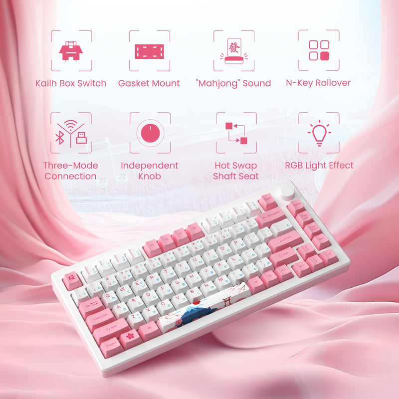 Akko MOD 007B Tokyo Mechanical Gaming Keyboard, 75% Gasket LED ANSI Layout Multi Modes Keyboard Anti-Ghosting, Hot-Swappable Programmable Media Keys, OEM Dye-Sub PBT Keycaps