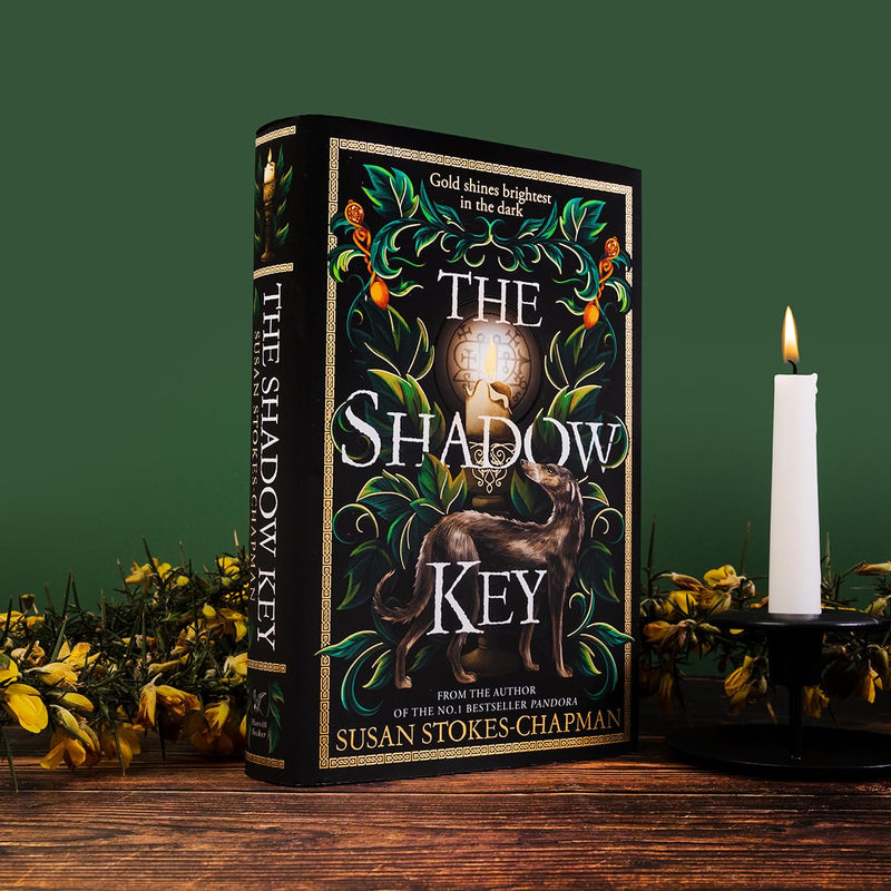 The Shadow Key: The gripping new historical mystery from the