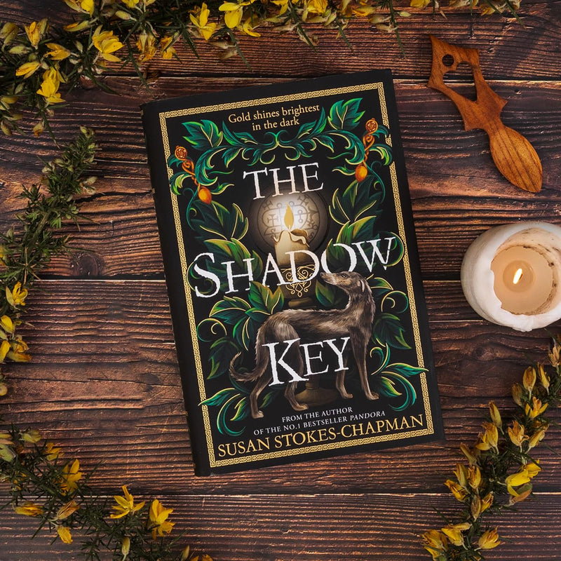 The Shadow Key: The gripping new historical mystery from the