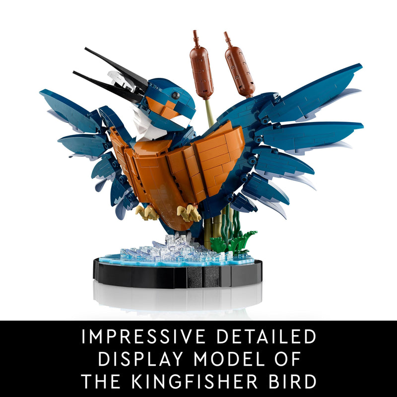 LEGO Icons Kingfisher Bird Set, Model Building Kit for Adults to Build with Water Setting Display Stand, Great Home and Office Desk Décor, Valentine's Day Gifts for Women, Men, Her or Him, 10331