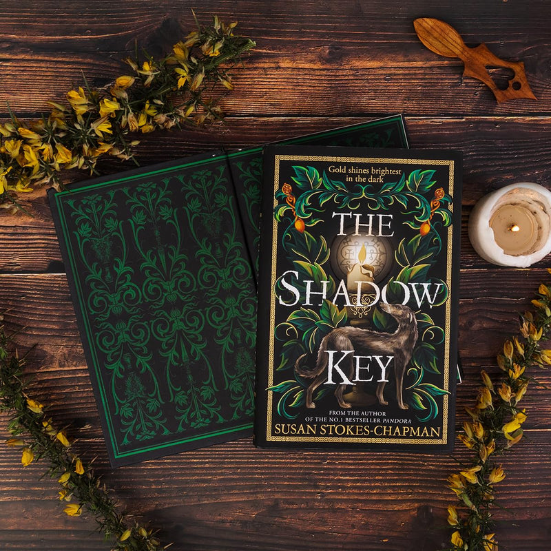 The Shadow Key: The gripping new historical mystery from the