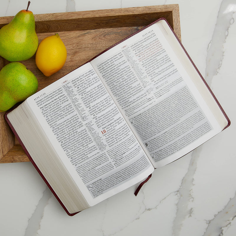 KJV Study Bible, Large Print, Hardcover, Red Letter