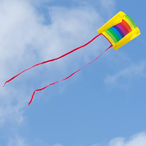 CIM MIC single line kite for children - Beach Kite – 29x18,5 inches - incl. 40m kite line and tails - from the age of 3 up … (Rainbow)