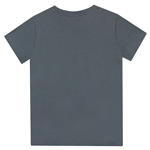 PlayStation Boys Gaming T-Shirt Short Sleeve Tee for Kids Grey 10-11 Years