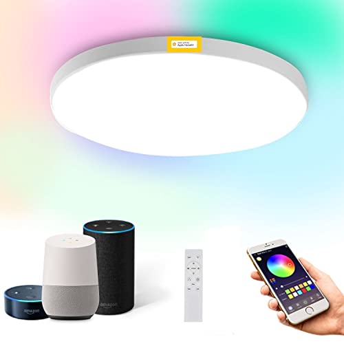 Smart LED Ceiling Light 24W 1920lm RGB 2700K - 6500K Dimmable, WiFi Ceiling Light App/Voice Control Compatible with HomeKit/Alexa/Google Home for Living Room/Bedroom IP54 Waterproof No Hub Required