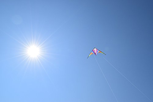 Stunt Kite - 160 x 80 cm Dual Line Kite - Vibrant and vivid colours - Stunt Kites for Outdoor Fun - Dual Line Stunt Kites - Popular entry-level stunt kite