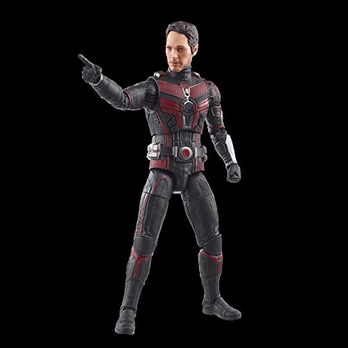 Marvel Hasbro Legends Series Ant-Man, Ant-Man & the Wasp: Quantumania Legends Action Figures, 6” 