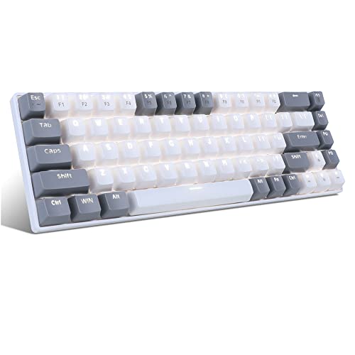 MageGee Portable 60% Gaming Mechanical Keyboard, Minimalist MK-Box Ice Blue Backlit Compact 68 Keys Wired Office Keyboard with Red Switch for Windows Laptop PC Mac Convenient(Gray & White)