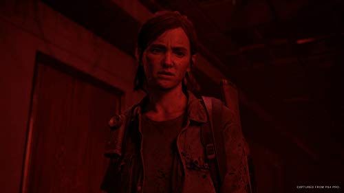 The Last of Us Part II (PS4)