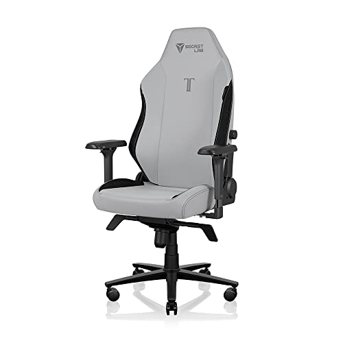 Secretlab TITAN Evo 2022 Ash Gaming Chair - Reclining - Ergonomic & Comfortable Computer Chair with 4D Armrests - Magnetic Head Pillow & 4-way Lumbar Support - Gray - Hybrid Leather