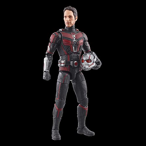 Marvel Hasbro Legends Series Ant-Man, Ant-Man & the Wasp: Quantumania Legends Action Figures, 6” 