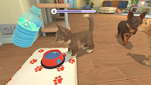 My Universe: Puppies & Kittens (Nintendo Switch)