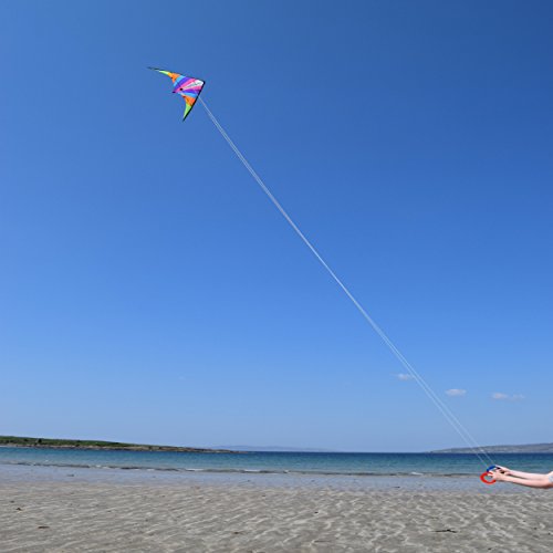 Stunt Kite - 160 x 80 cm Dual Line Kite - Vibrant and vivid colours - Stunt Kites for Outdoor Fun - Dual Line Stunt Kites - Popular entry-level stunt kite