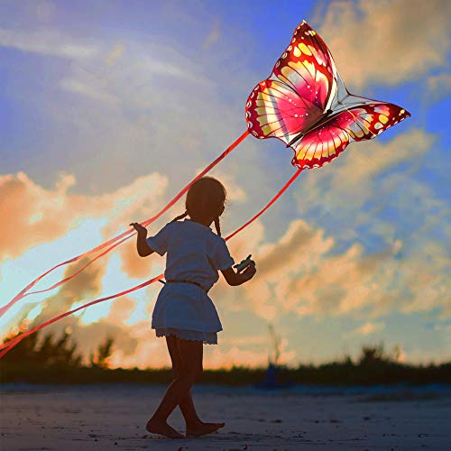 Mint's Colorful Life Butterfly Kite for Children and Adults (Pink)