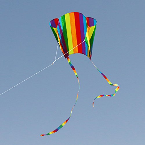 Rainbow Kite, Kids Colorful Pocket Kite Toys, Outdoor Sport Single Line Flying Kites for Children and Adult, Easy Flyer with String (Stripe)