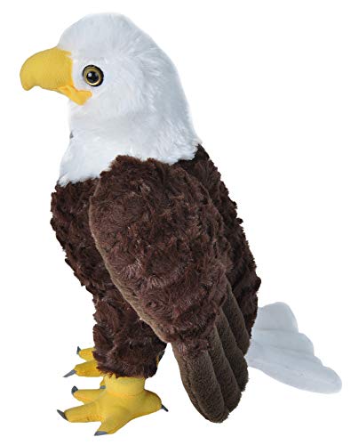 Wild Republic Bald Eagle Plush Soft Toy, Cuddlekins Cuddly Toys, Gifts for Kids 30 cm,White