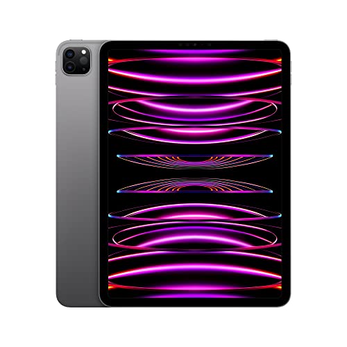 Apple 2022 11-inch iPad Pro (Wi-Fi, 2TB) - Space Grey (4th generation)