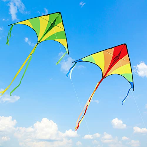 JOYIN 2 Packs Large Delta Kite Green and multicolor kite Easy to Fly Huge Kites for Kids and Adults with 262.5 ft Kite String, Large Delta Beach Kite for Outdoor Games and Activities